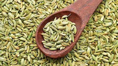 Fennel Seeds Health Benefits