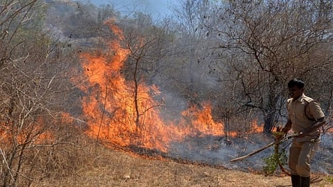 Gadchiroli Forest Department on high alert to prevent forest fires (Davanul). Special squads formed in 5 divisions including Bhamragarh and Sironcha.