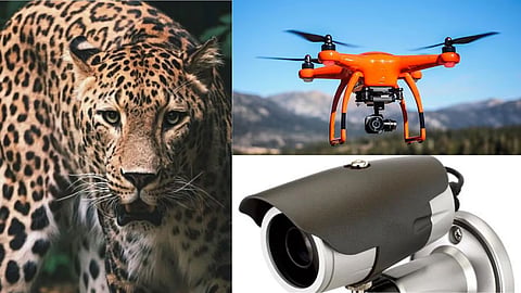 Leopard terror curbed in Nashik, 120 villages affected, rescue teams to be strengthened; Forest Department receives 20 crore rupees in aid