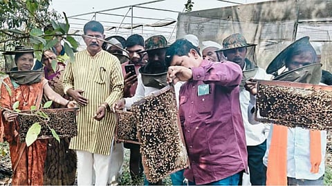 'Honey Village' Initiative to Launch in Maharashtra to Boost Honey Production; Khadi Board Plans for Rural Employment
