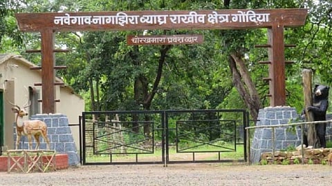 Navegaon-Nagzira Tiger Reserve expands its buffer zone to include 185 villages. Focus on tiger corridor protection and local employment through eco-tourism.