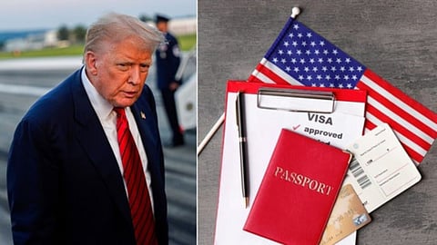 trump visa policy