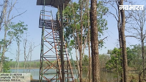 Tumsar Forest Dept will conduct a 21-hour wildlife census at 5 water bodies starting May 1. Volunteers and officials will monitor wildlife from machans during the night.