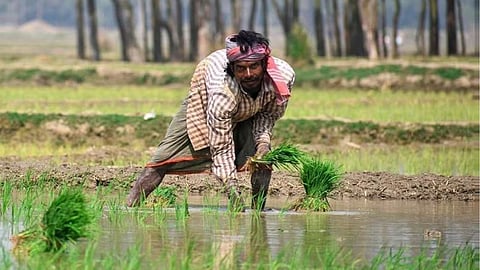 The Govt has sanctioned 1.85 crore compensation for Chandrapur farmers hit by unseasonal rains in Feb 2026. Over 2,500 families will receive direct bank transfers.