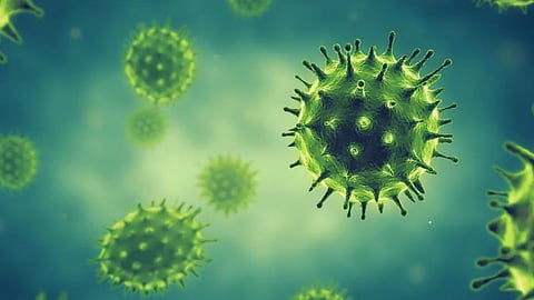 Congo Virus Scare in Pakistan: Panic Erupts in Karachi After Death of 17-Year-Old Teenager; Concerns Mount Ahead of Eid