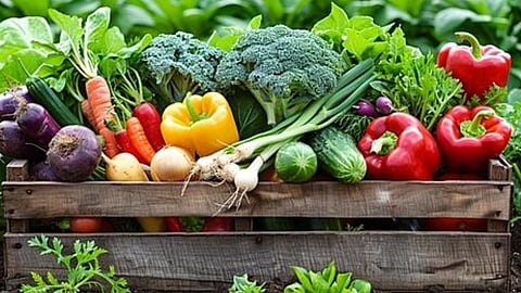 Fresh Vegetable Buying Tips