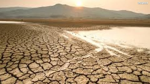 Nashik Water Crisis: The Kadva River runs dry; voiceless creatures writhe in thirst will the administration heed Dindori's plea?