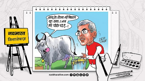 Navbharat Nishanebaaz: What Does This Research Ultimately Say? Cow's Milk Contains Gold.