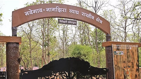 Navegaon Nagzira Tiger Reserve