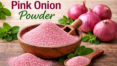 maharashtra-onion-powder-plan-price-control-farmers-relief