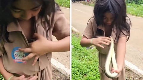A viral video shows a young girl fearlessly playing with a snake, sparking shock and concern online.