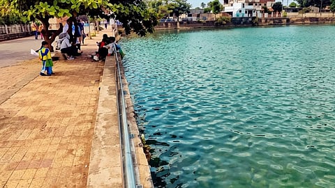 Thousands of Fish Die in Chandrapur's Ramala Lake; MP Corners Administration, Raising Questions Over ₹30 Crore Project