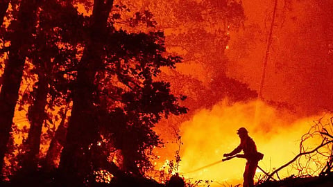 Gadchiroli Forest Department installs fire stations and satellite alert systems in 5 divisions to combat forest fires. High-tech monitoring to protect 78% forest cover.