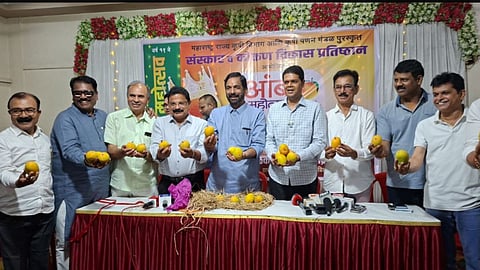 konkan hapus mango production decline farmers crisis mango festival thane
