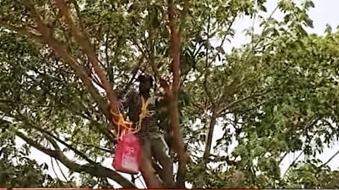 Bhandara Farmer Suicide Attempt News