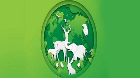 akola biodiversity day sparrow nest gift