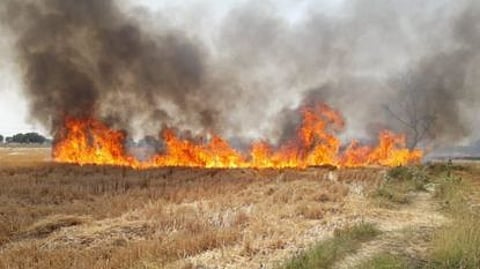 telhara hivarhed farm fire 18 acre crop damage arrest 500 rupees