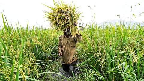 Kharif Season Farm Credit Yavatmal