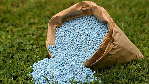 Fertilizer
