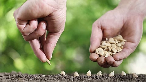 harif Season Agriculture Department Guidelines In Gondia District