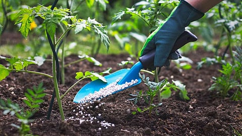 Gondia Kharif Season Sowing Planning Report