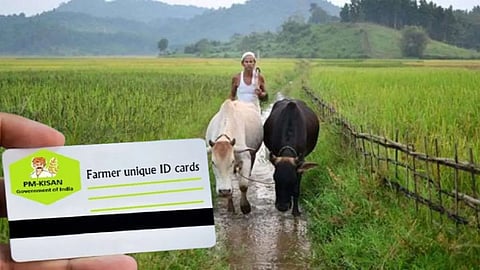 Farmers can now create their Farmer ID online from home to access government schemes and subsidies easily.