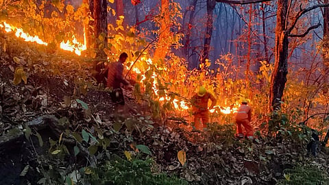 ashti forest fire telai ghat highway block hinganghat 220kv substation fire maharashtra
