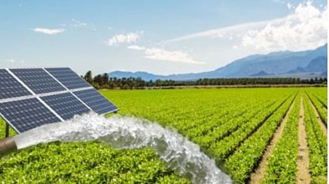 bhandara solar agriculture pump scheme farmers mahavitran