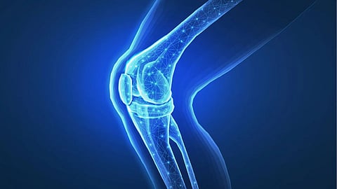 Best Foods For Bone Health