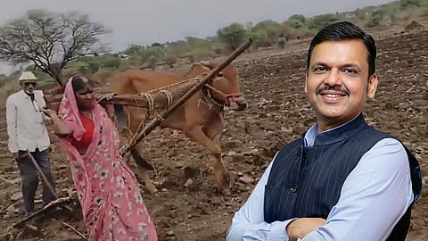 Devendra Fadnavis Help Latur Farmer