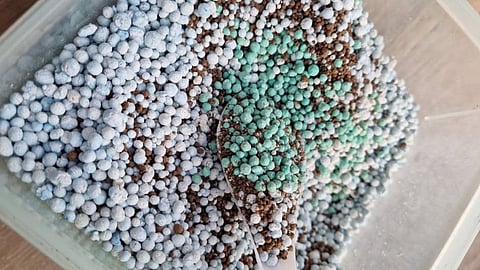 Kharif Season Fertilizer Distribution