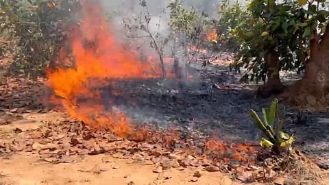 gondia farm waste burning forest fire warning kharif season