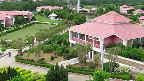 hiware bazar tree plantation success 80 percent survival world environment day