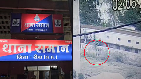 rewa-bal-sampreshan-grih-6-accused-child-escaped-police-search-operation