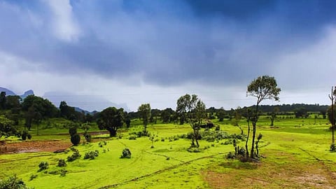 bhandara monsoon rain forecast electricity cut-vegetable price hike scholarship news