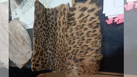 Wildlife Trafficker Arrested In Amravati