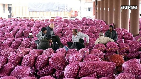 maharashtra onion export record growth 2025 26 nashik impact
