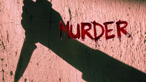 Chandrapur Woman Harassment Murder Dispute