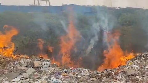 Bhopal Govindpura Forest Fire