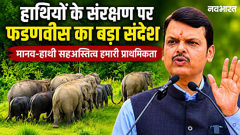 Maharashtra Forest Department partners with 'Farmers for Forests' for scientific monitoring, GIS mapping, and documentation of elephants in Gadchiroli.