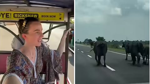 A foreign woman shared unique scenes from Indian roads, leaving social media users amused and saying, "Only in India."