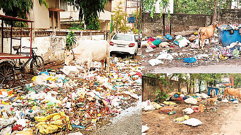 Garbage crisis deepens in Nagpur, residents in several areas face increased hardship; Congress targets the administration.