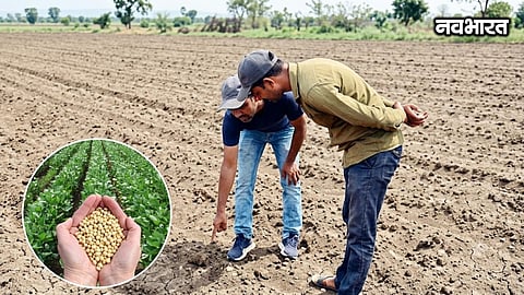 Major fraud involving spurious soybean seeds in Chandrapur; crops of 17 farmers ruined; FIR registered against the company and supplier.