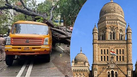Chembur Tree Collapse BMC Report