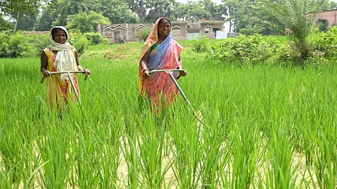 wardha farmer loan waiver scheme 2026 first beneficiary list