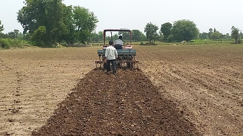 yavatmal kharif crop resowing rainfall crisis 2026