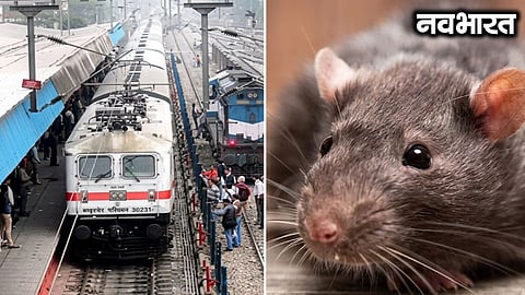 A dead rat caused a short circuit in the AC B1 coach of Mahalaxmi Express, triggering the fire alarm and delaying the train by over an hour.