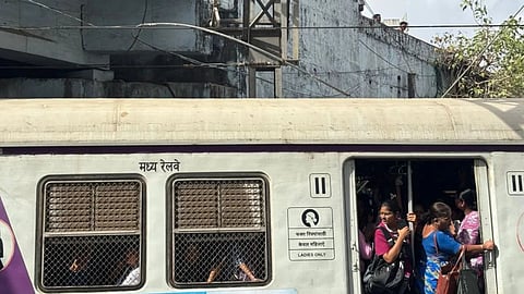 mumbai harbour line pantograph tree branch train disruption
