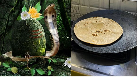 Nag Panchami Puja Rules