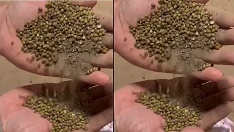 A major irregularity has come to light in Narmadapuram after soil was allegedly found inside sacks meant to contain procured moong, leading to the registration of an FIR against three individuals